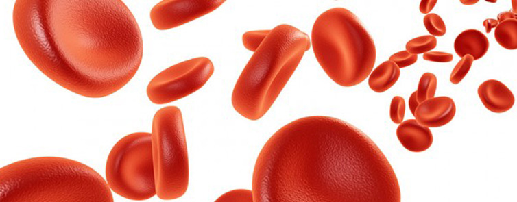 globulos rojos en 3d circulando